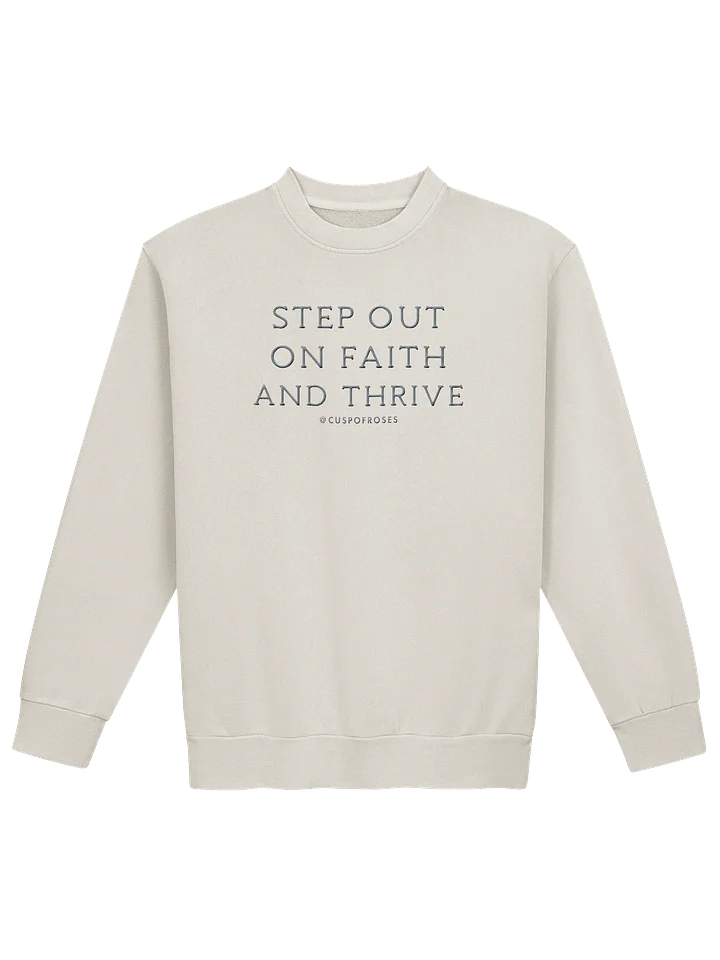 s.o.o.f.a.t. grey embroidered sweatie product image (1)