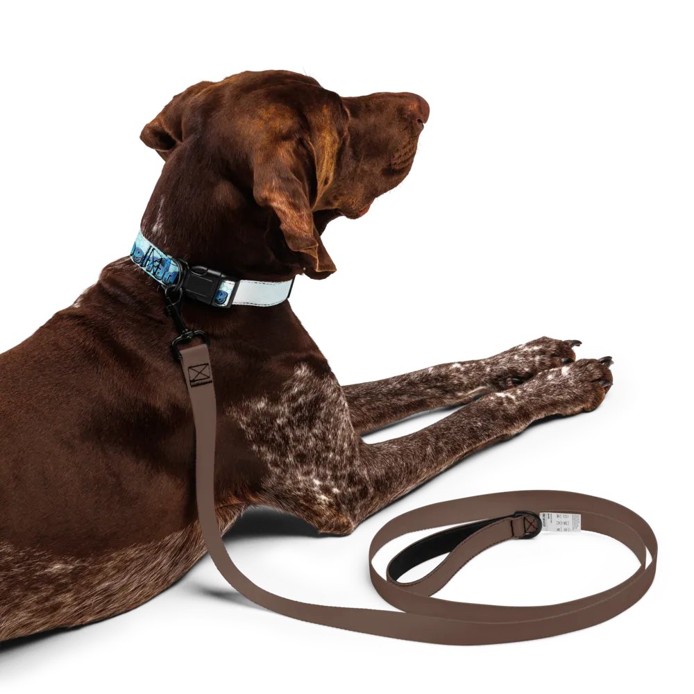 Collar product image (10)