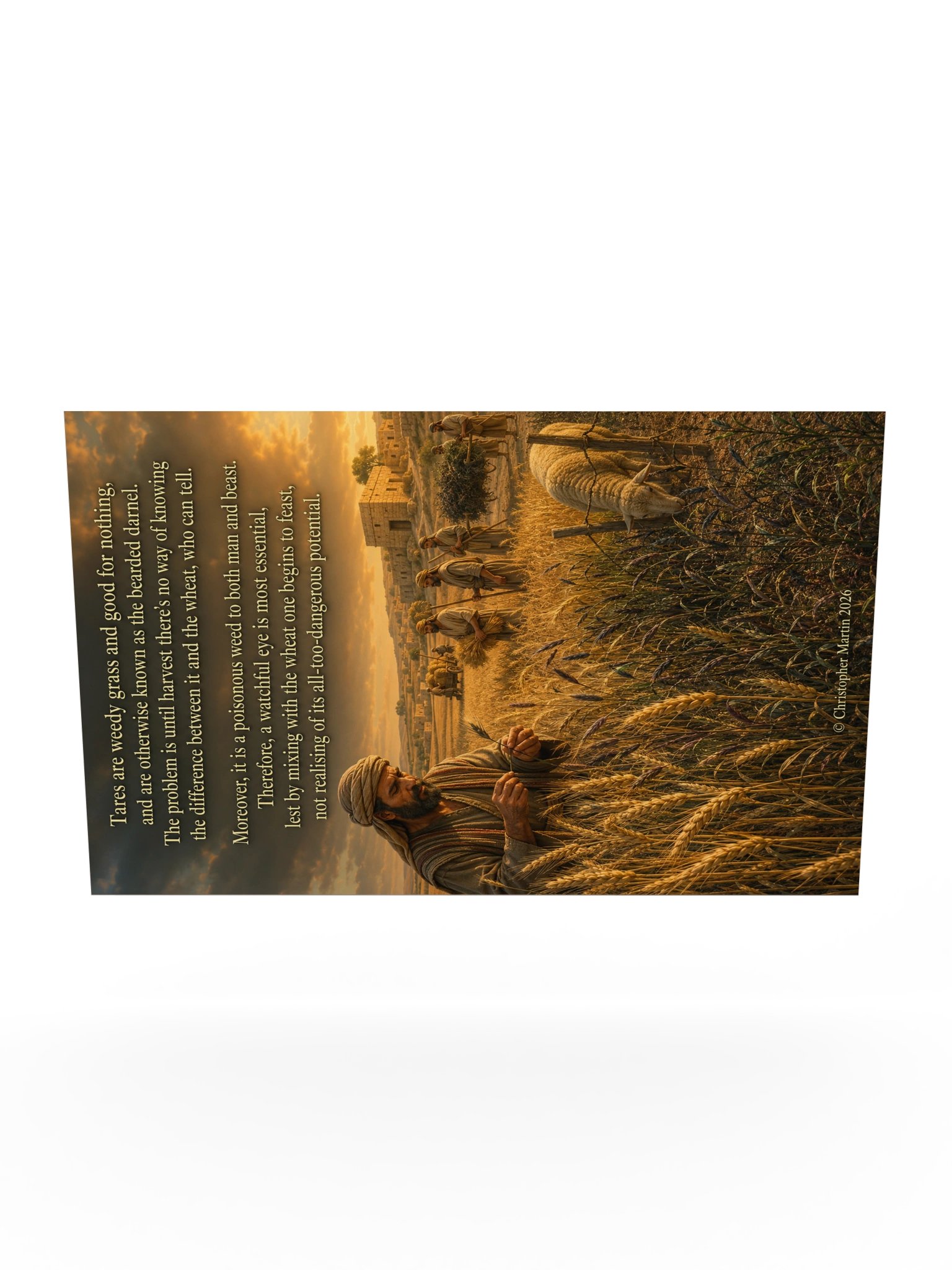 Tares and wheat product image (10)