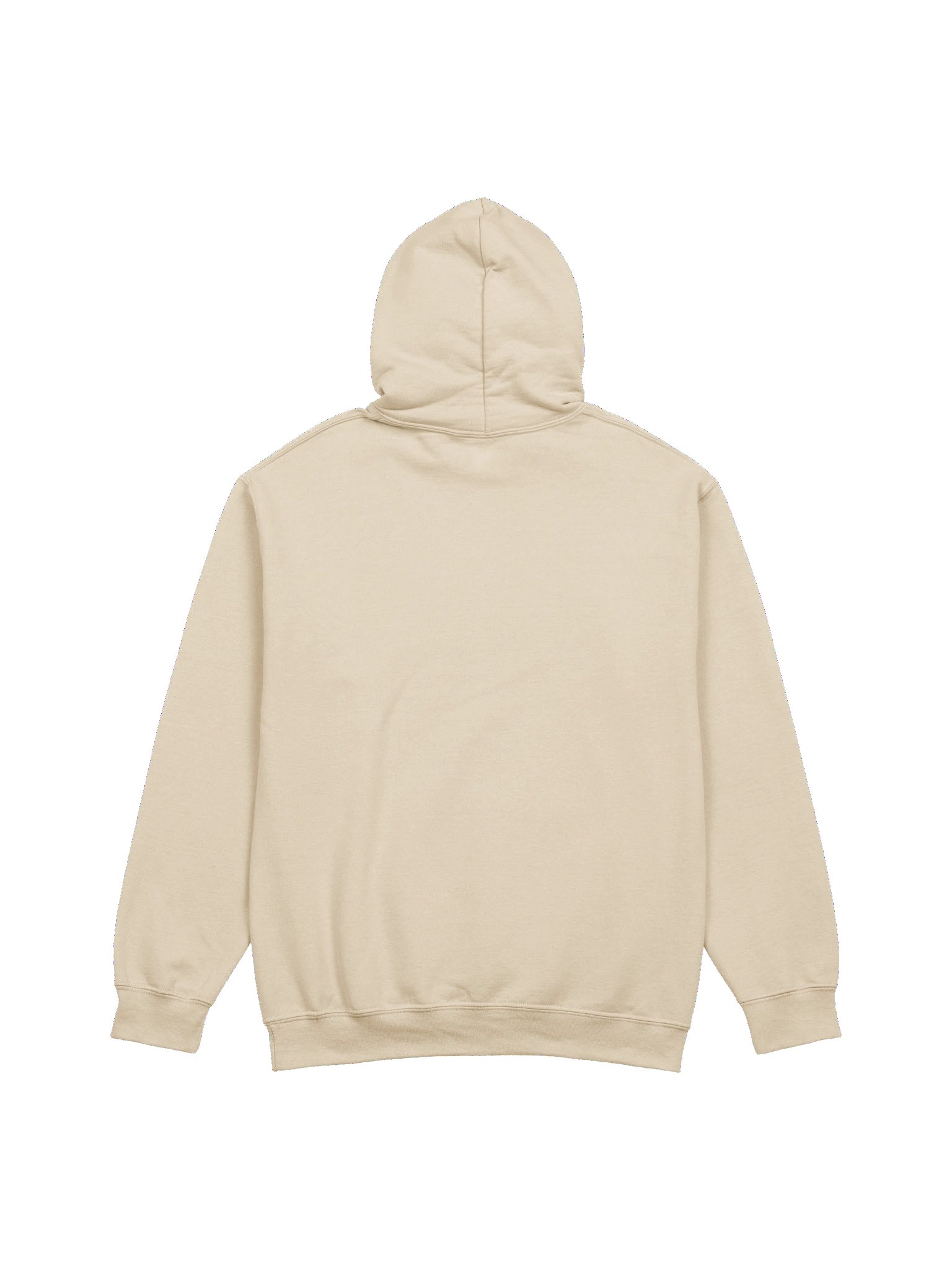 Vulture Hoodie product image (3)