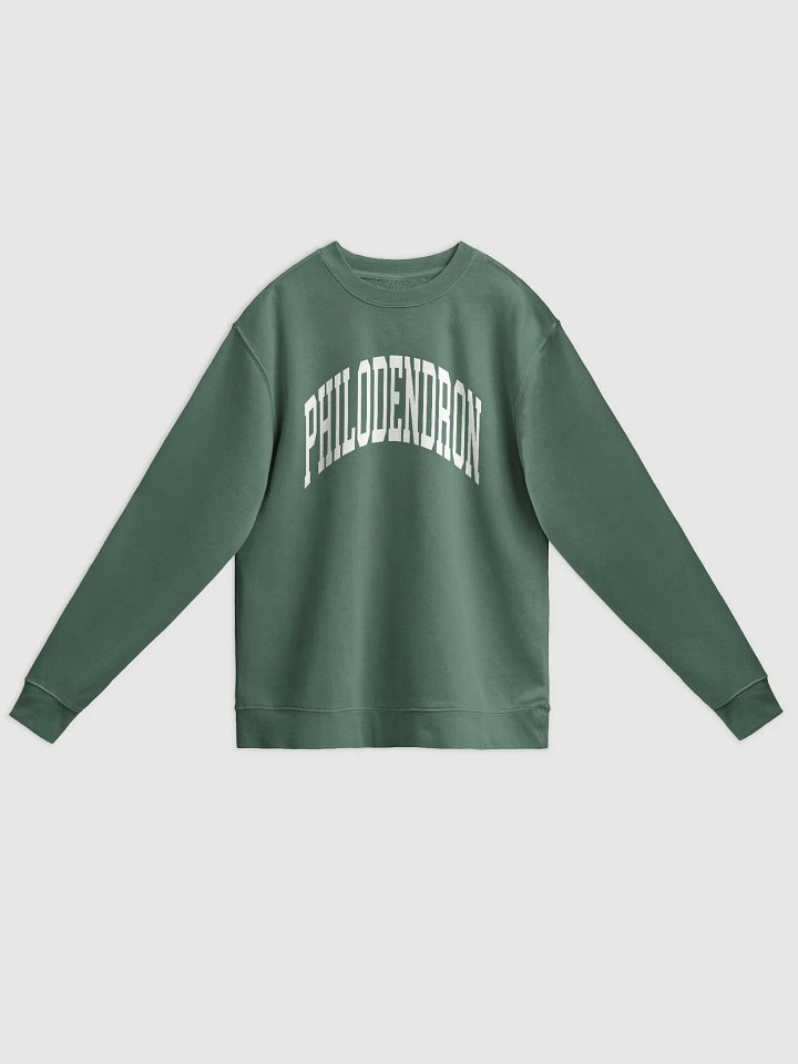 PHILODENDRON VARSITY - Midweight Pigment Dyed Sweatshirt product image (1)