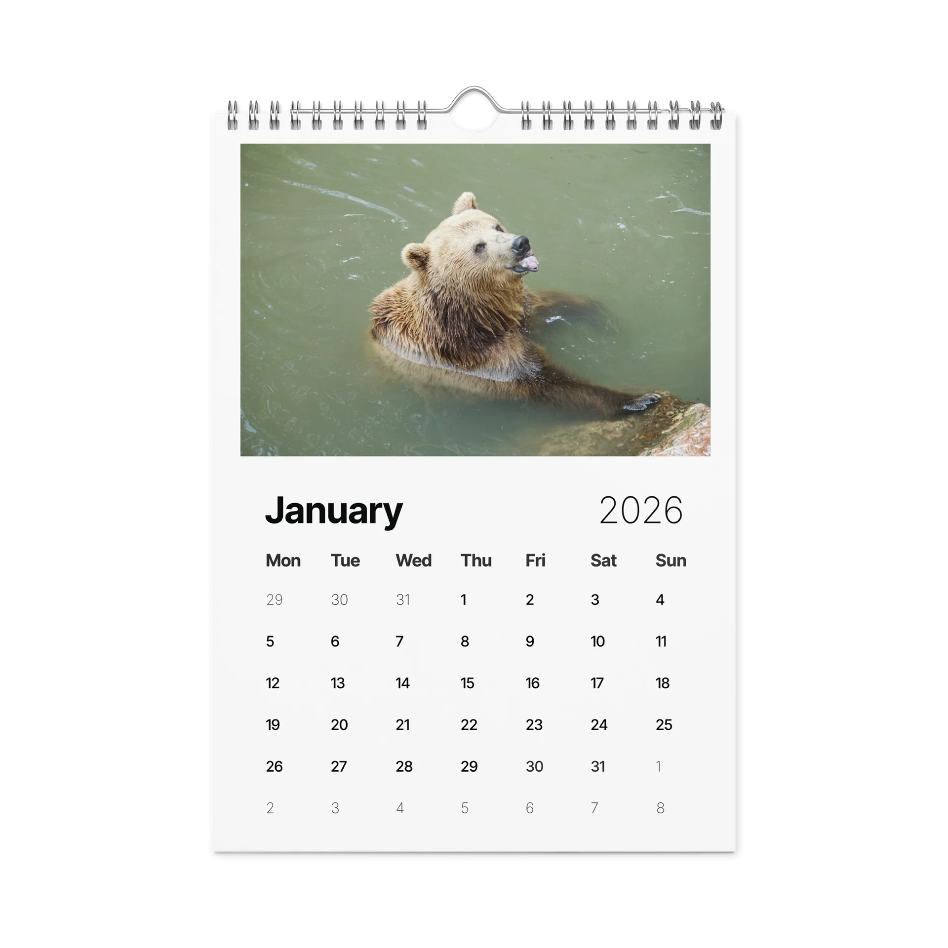 One Year, Twelve Animals: ESE 2026 Wall Calendar product image (6)