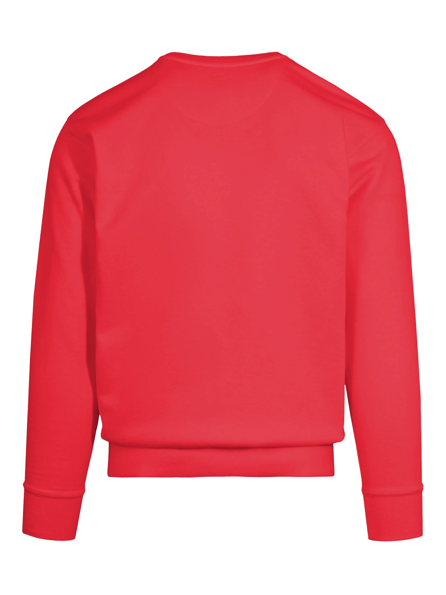 Gozerin | Cotton Heritage Premium Sweatshirt product image (85)