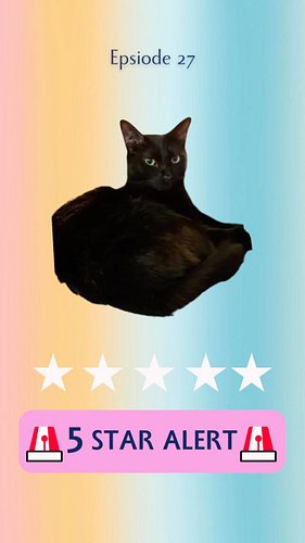 Episode 27 had another 5 star that was featured in episode 26! Back to back 5 stars are a sign of a good book!

#bookstagram ...