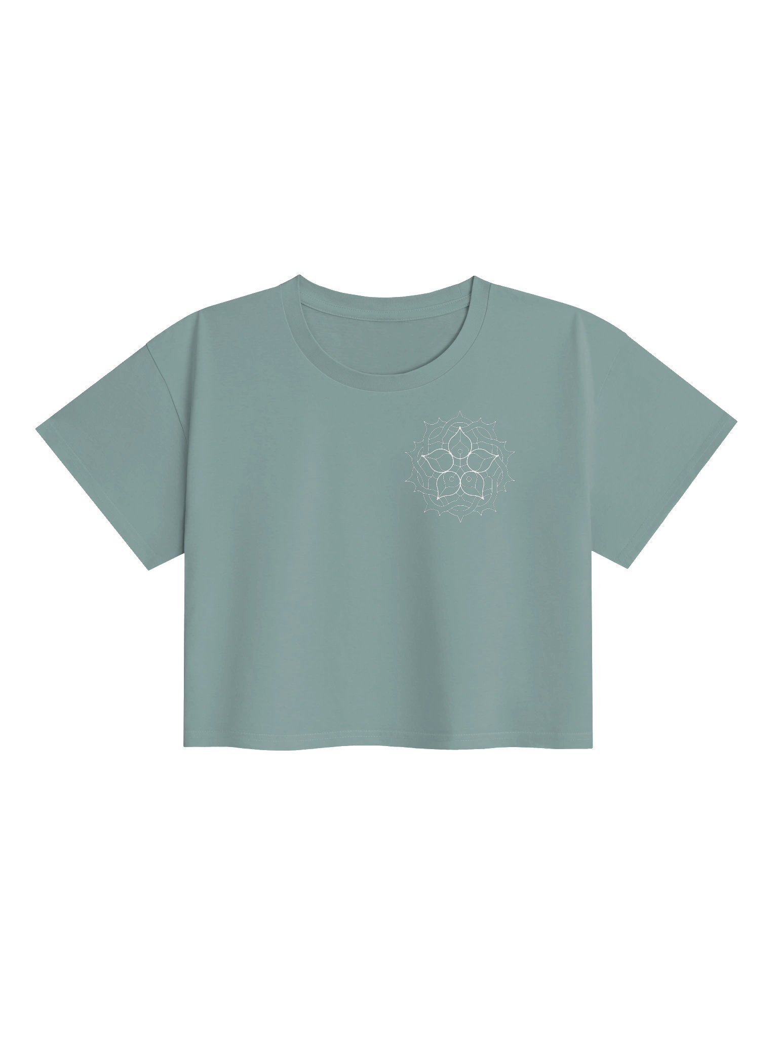 TML Crop Top Tee product image (1)