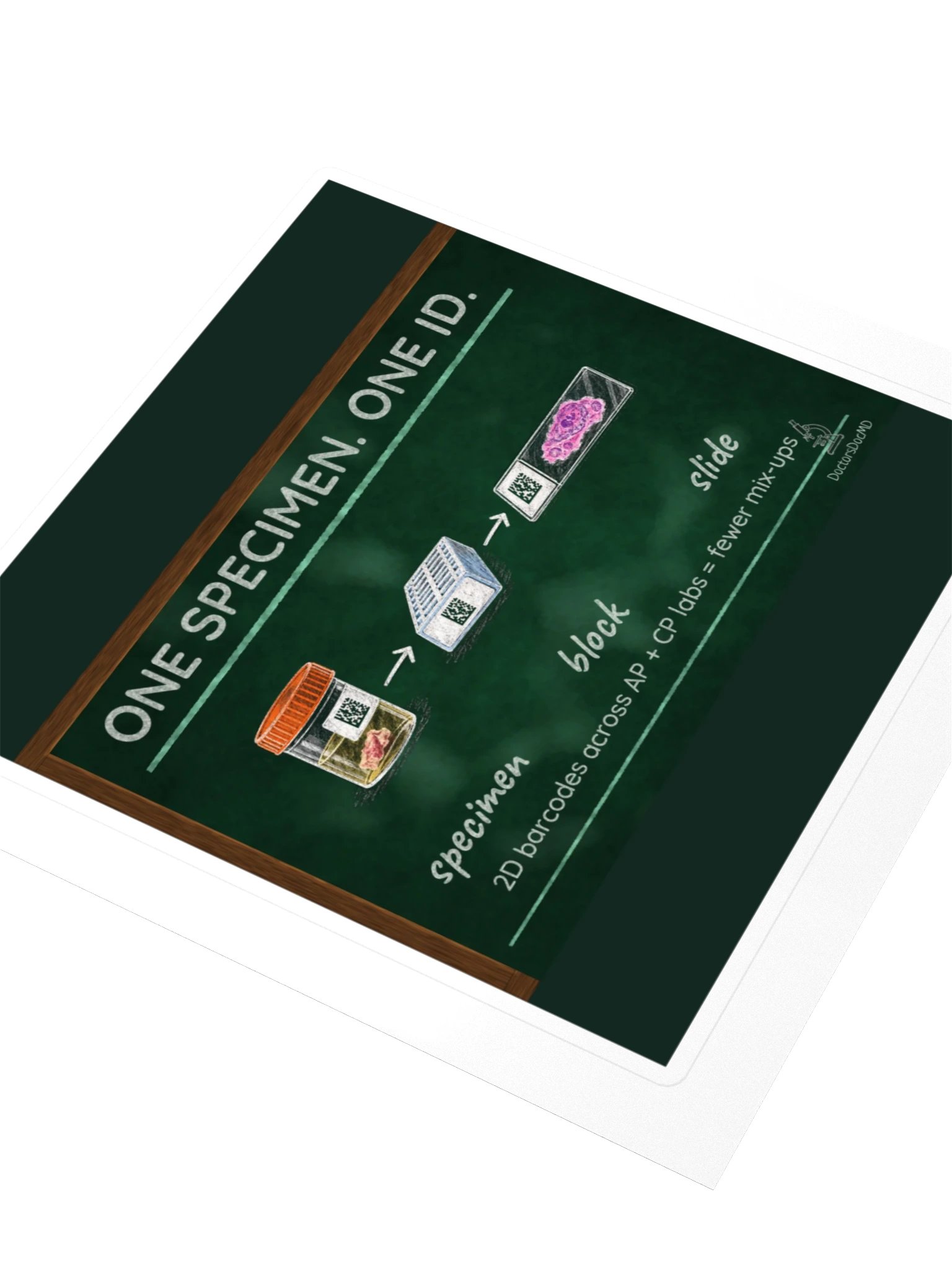 DoctorsDocMD - One Specimen. One ID. Sticker product image (3)