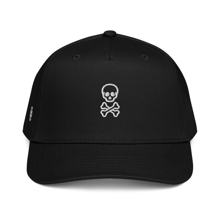 Embroidered Hat product image (1)