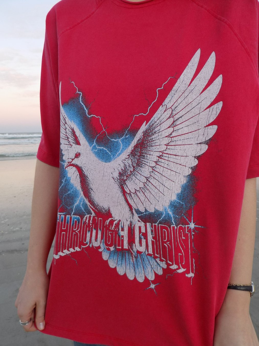 Through Christ Dove Tee product image (5)