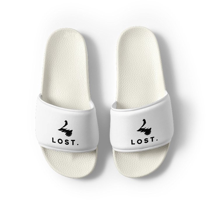 Lost Slides product image (1)