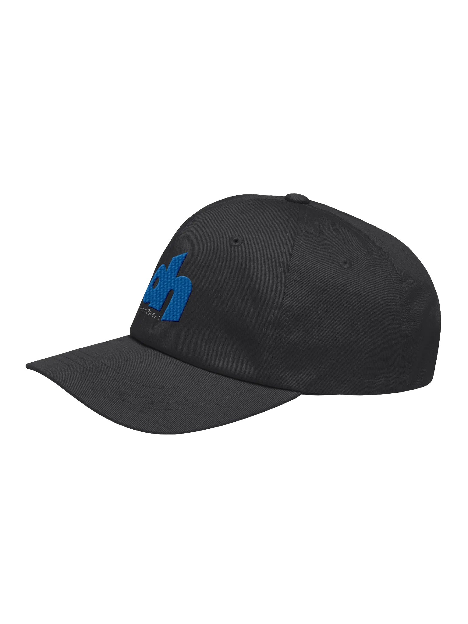d2h Logo Dad Hat Embroidered product image (8)
