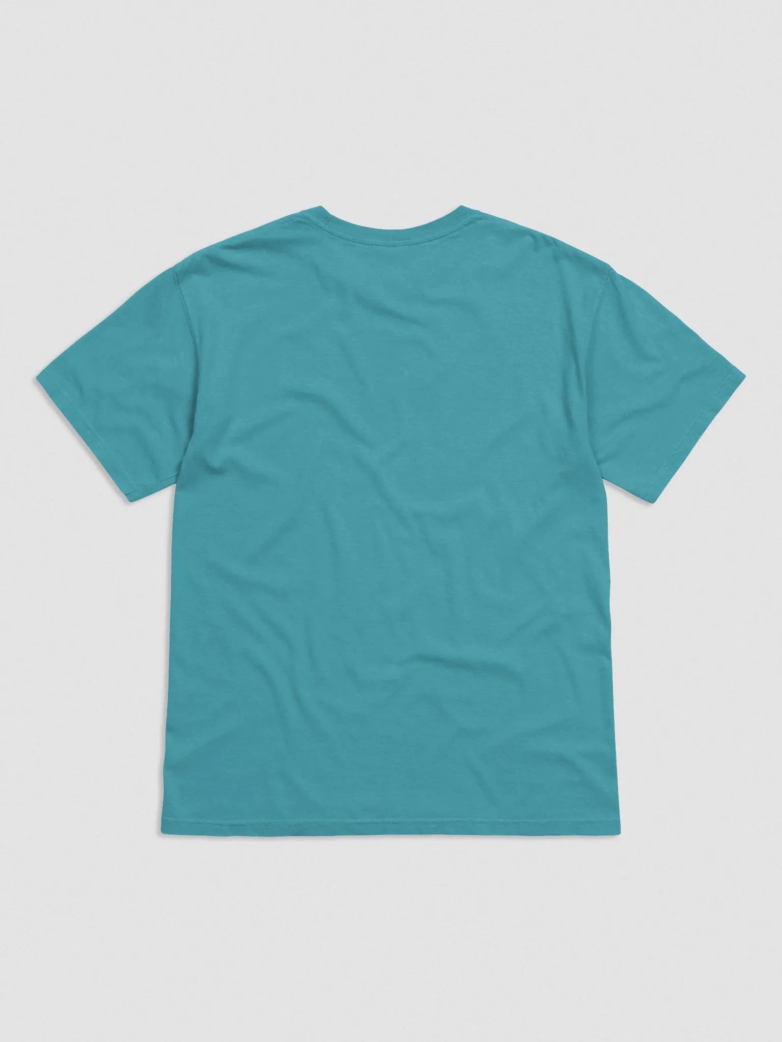 T-shirt product image (18)