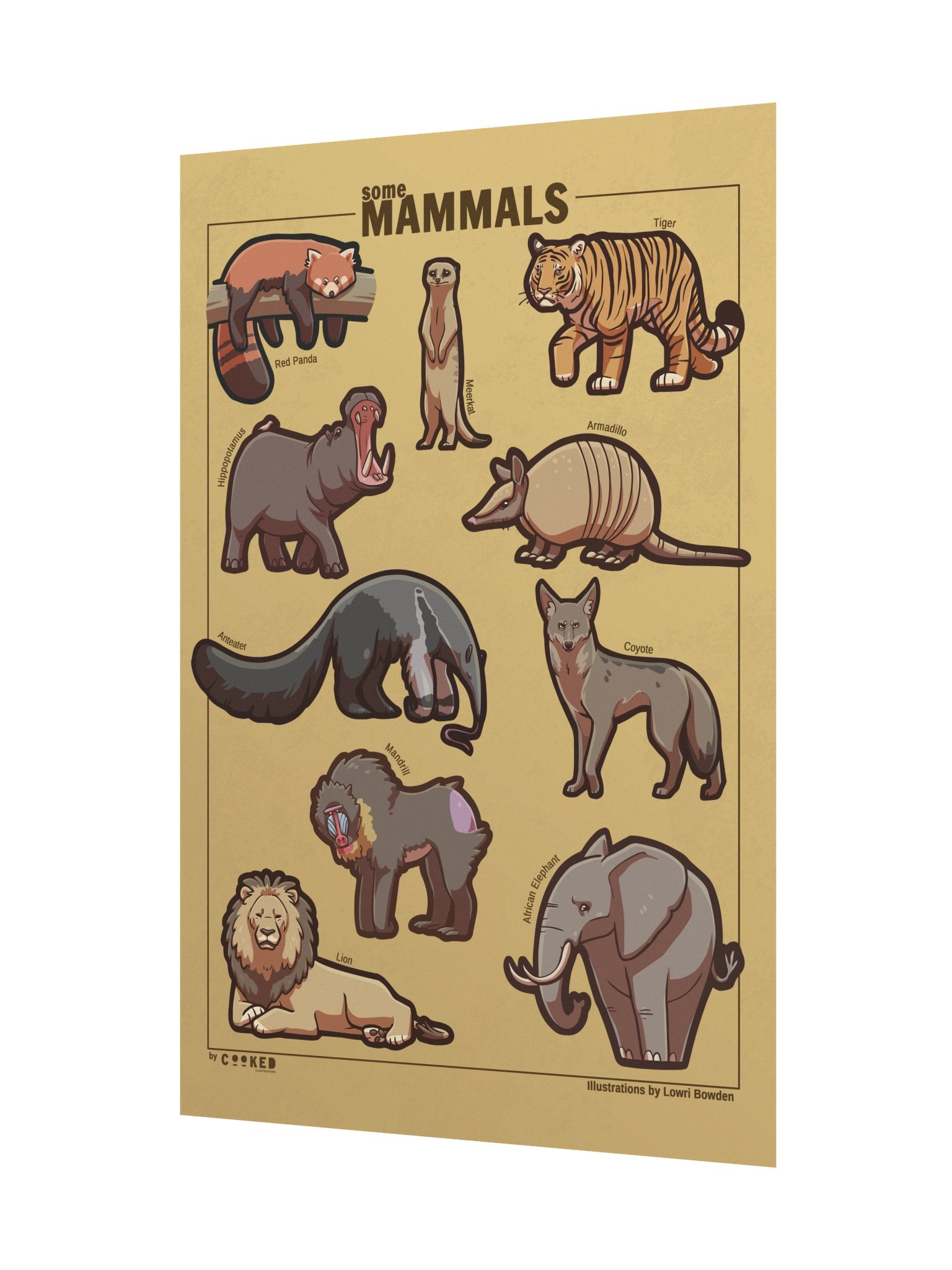 Another Abundance of Mammals Poster - 10 Illustrated Mammals Poster - Original Illustrated Poster product image (2)