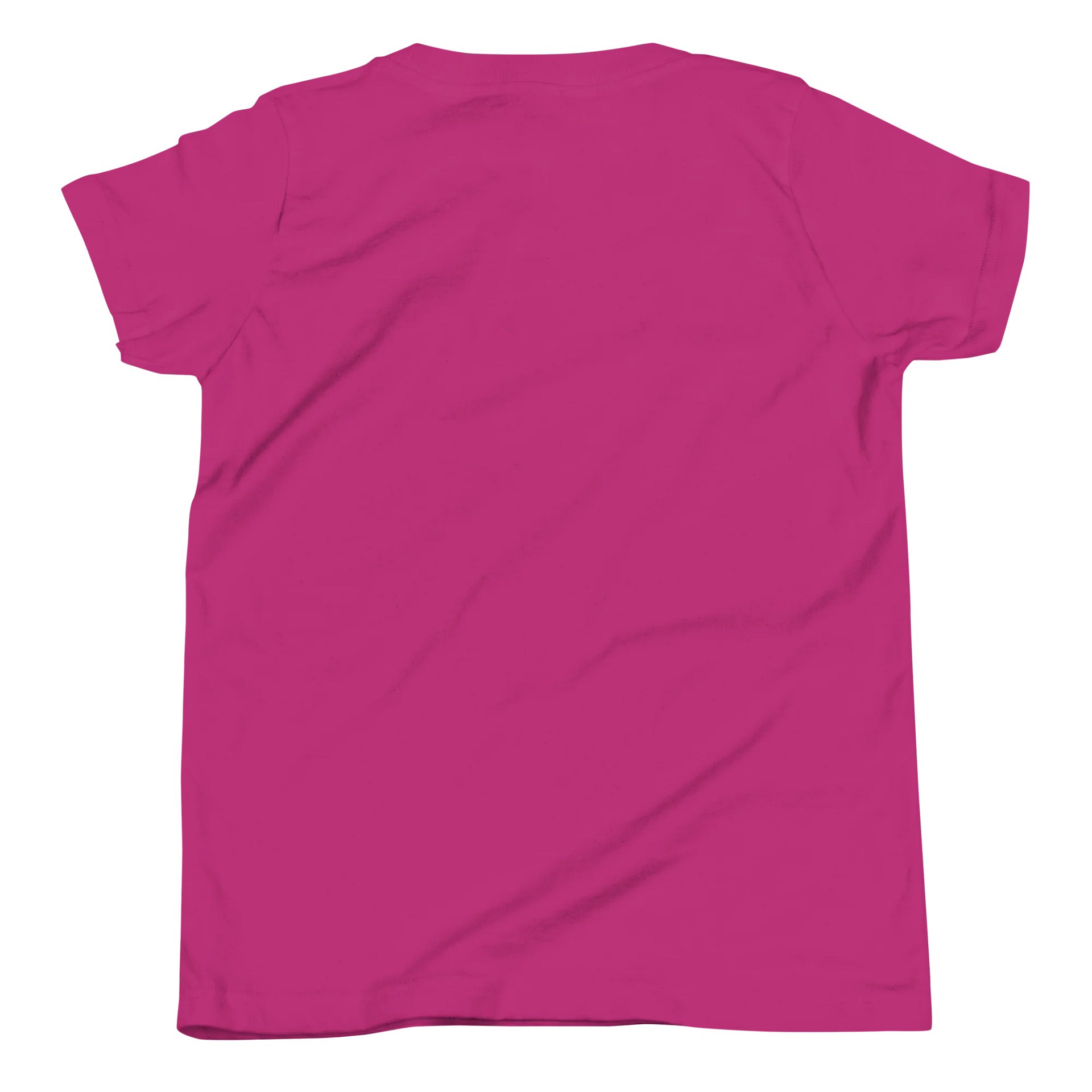 Odd Duck Stand Out From the Flock Youth Shirt product image (6)