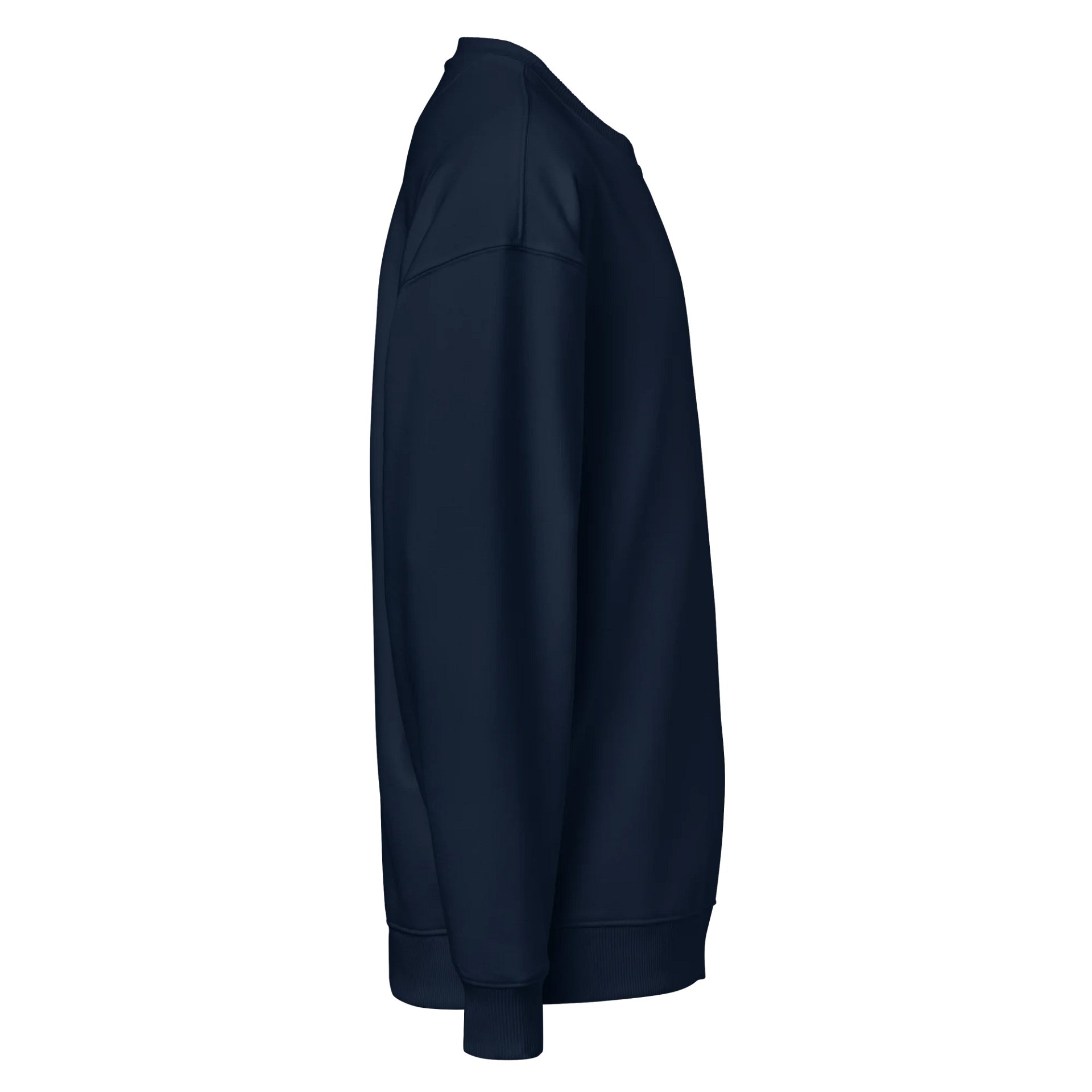 SillySandyAJ Unisex Organic Oversized Sweatshirt product image (4)