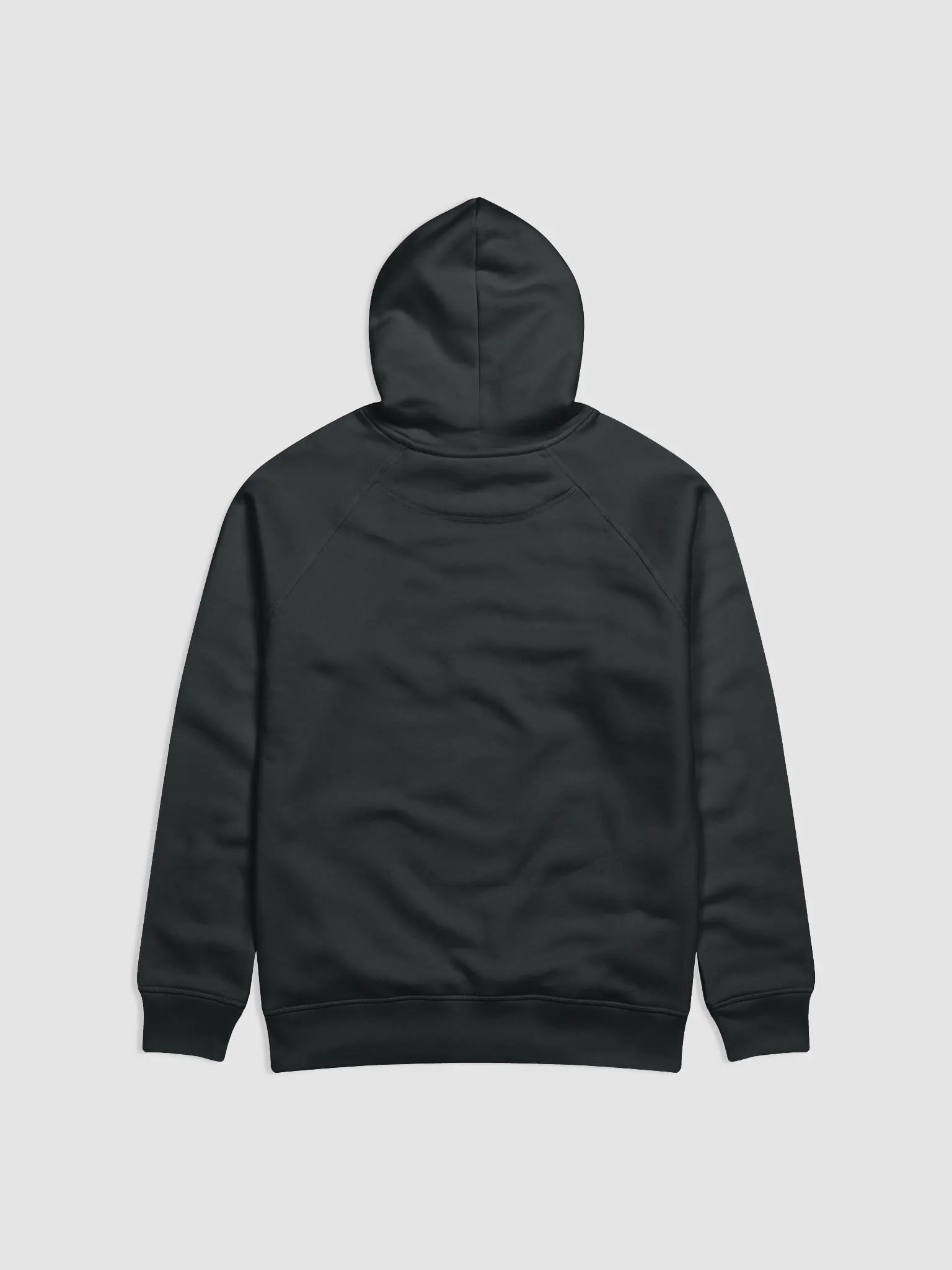 Pixel Mr100 - Hoodie product image (2)