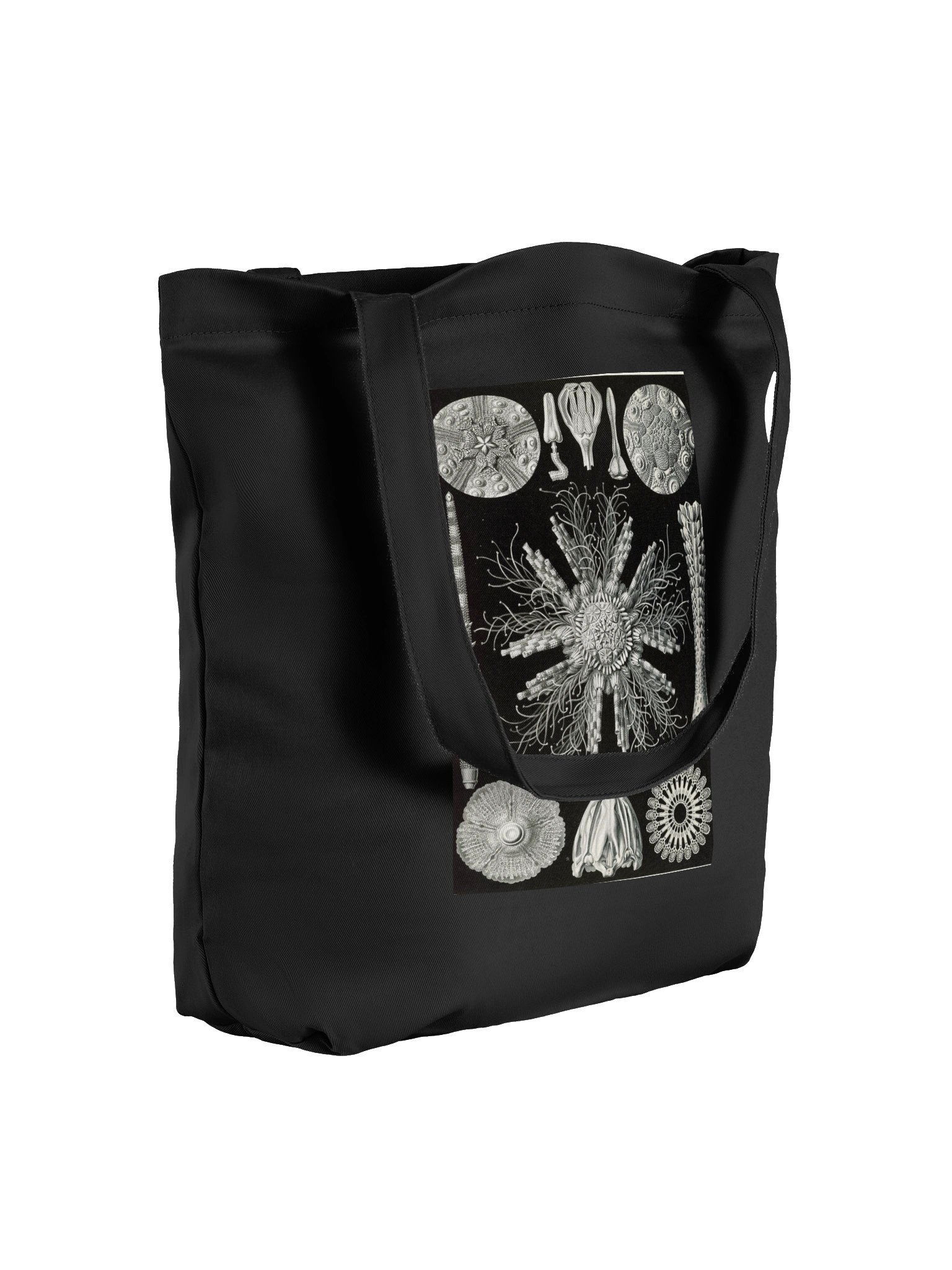 Sea Urchins Vintage Scientific Illustration Tote Bag product image (4)