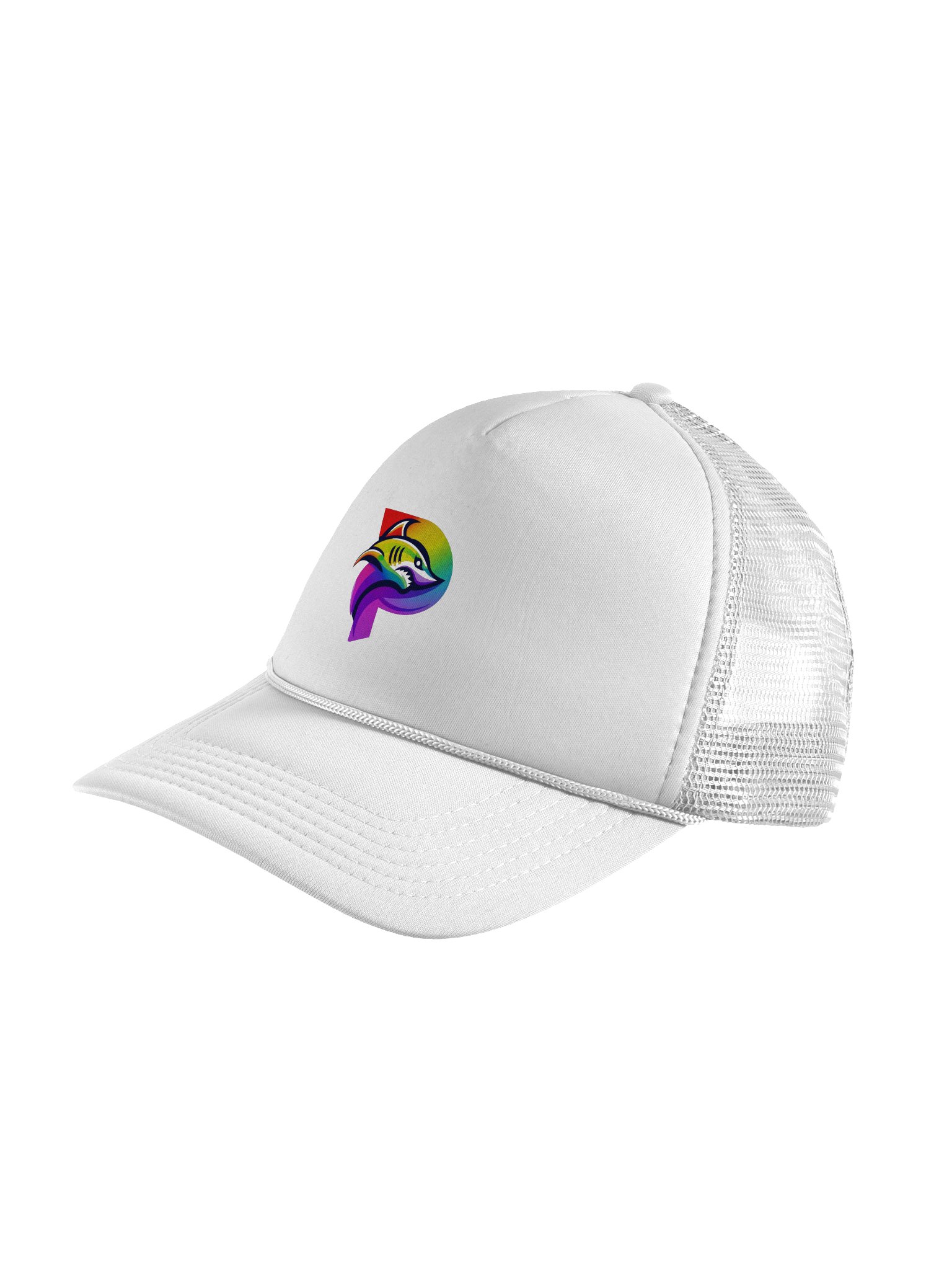 Paytonics Pride Logo Hat product image (4)