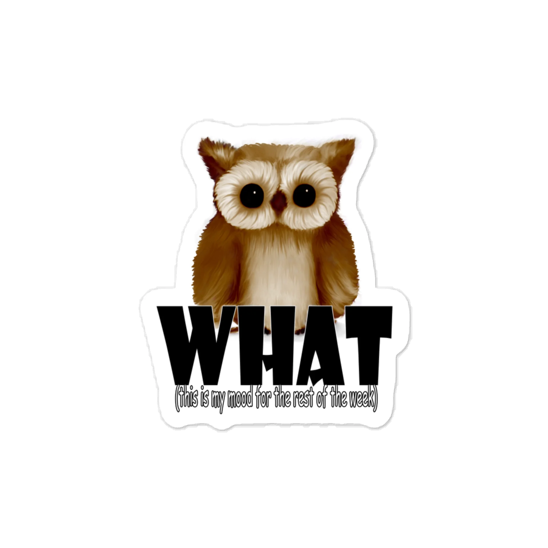 Owl "WHAT" Kiss-Cut Vinyl Decals product image (1)