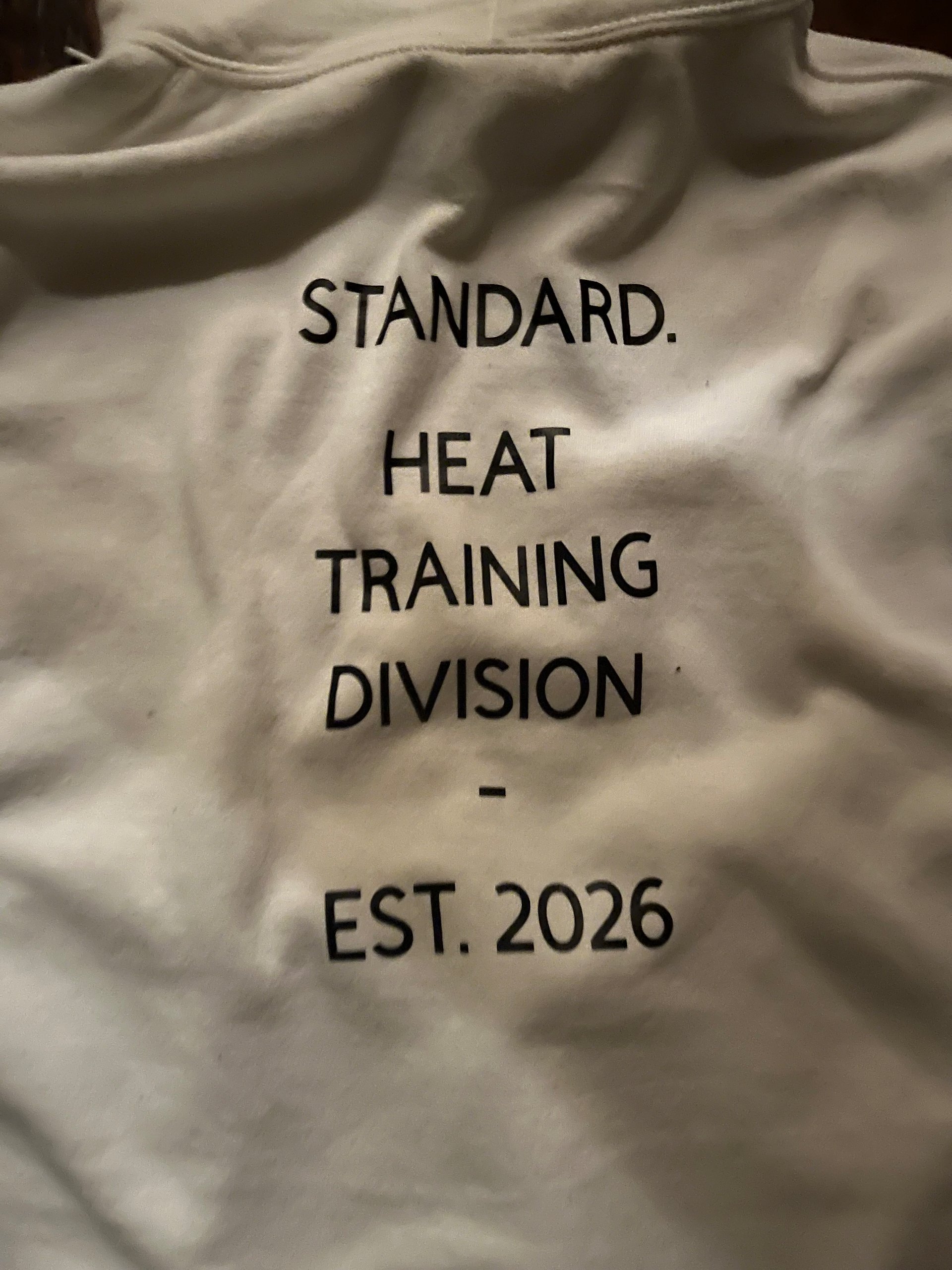 Summer standard hoodie product image (2)