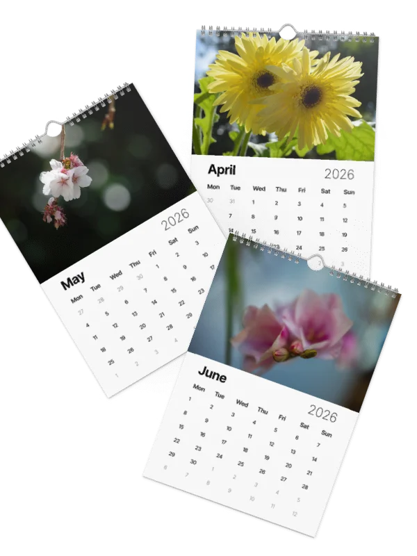 Nature 2026 product image (2)