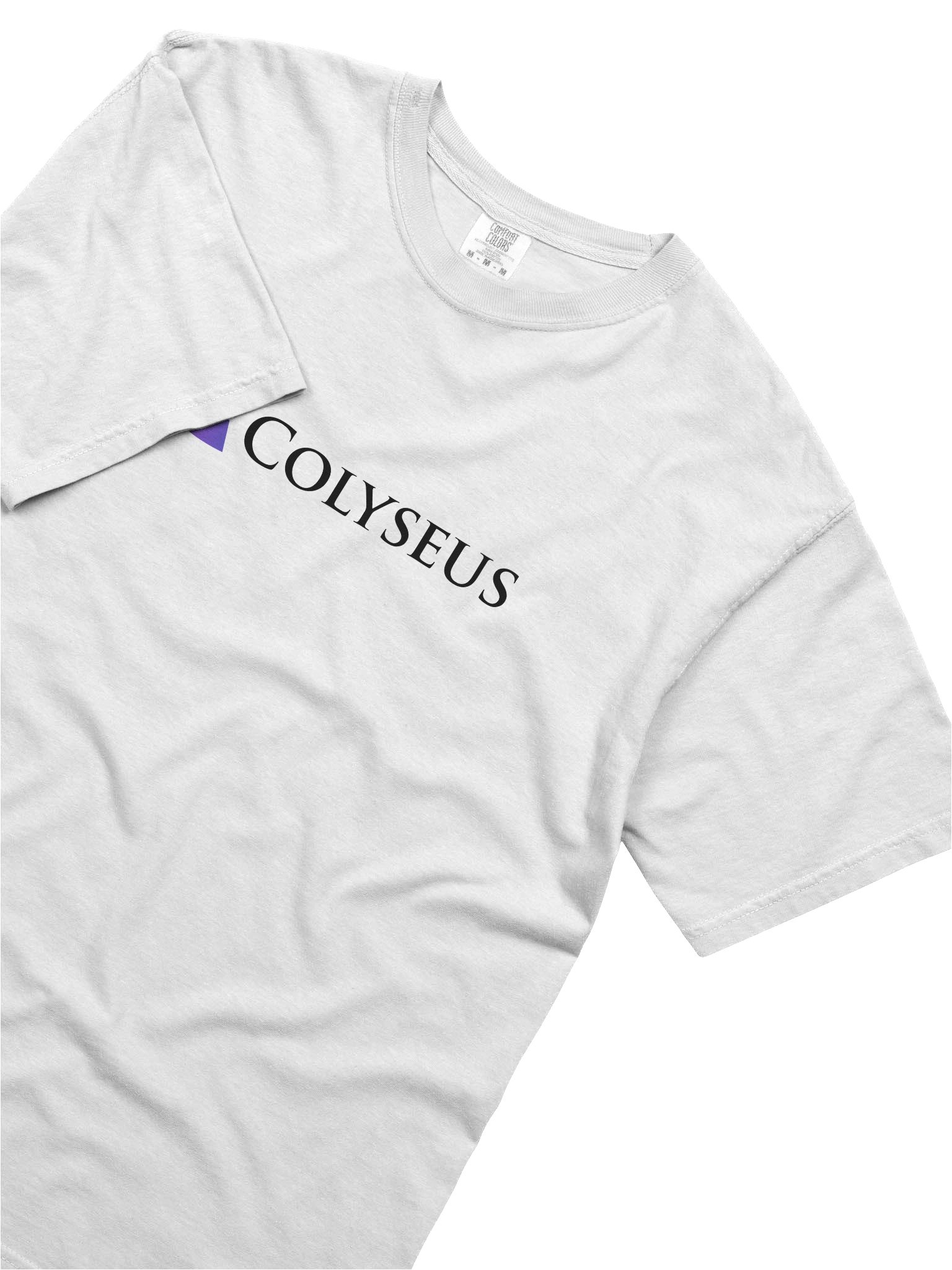 Lightmode T-Shirt product image (15)