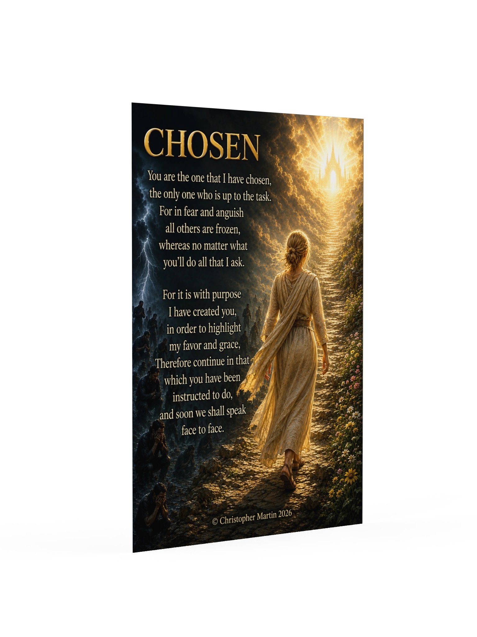 Chosen product image (2)