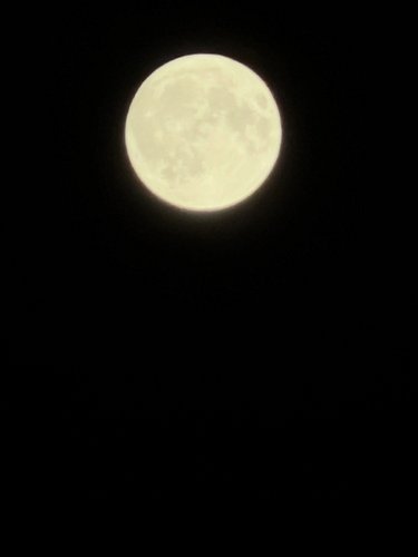 She reminds me of the moon