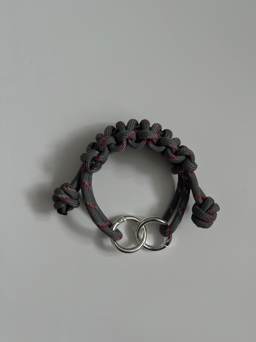 The Companion Loop product image (1)