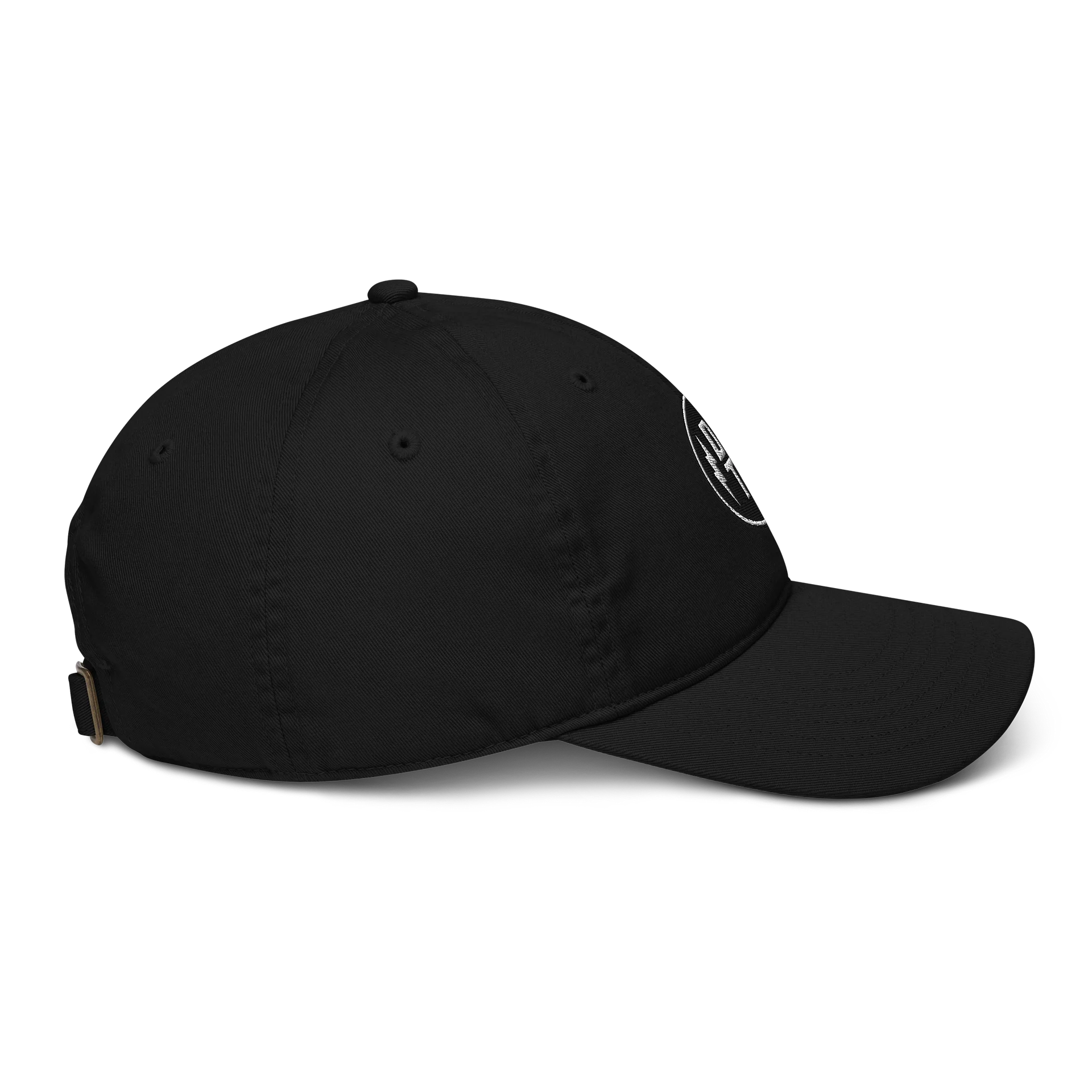 OG Dad Hat product image (8)