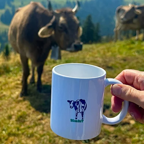 Whether outdoors in the garden, on a camping trip, or at home, our Huh? and Classic MooMode Mugs belong everywhere you do. ☕🐮...