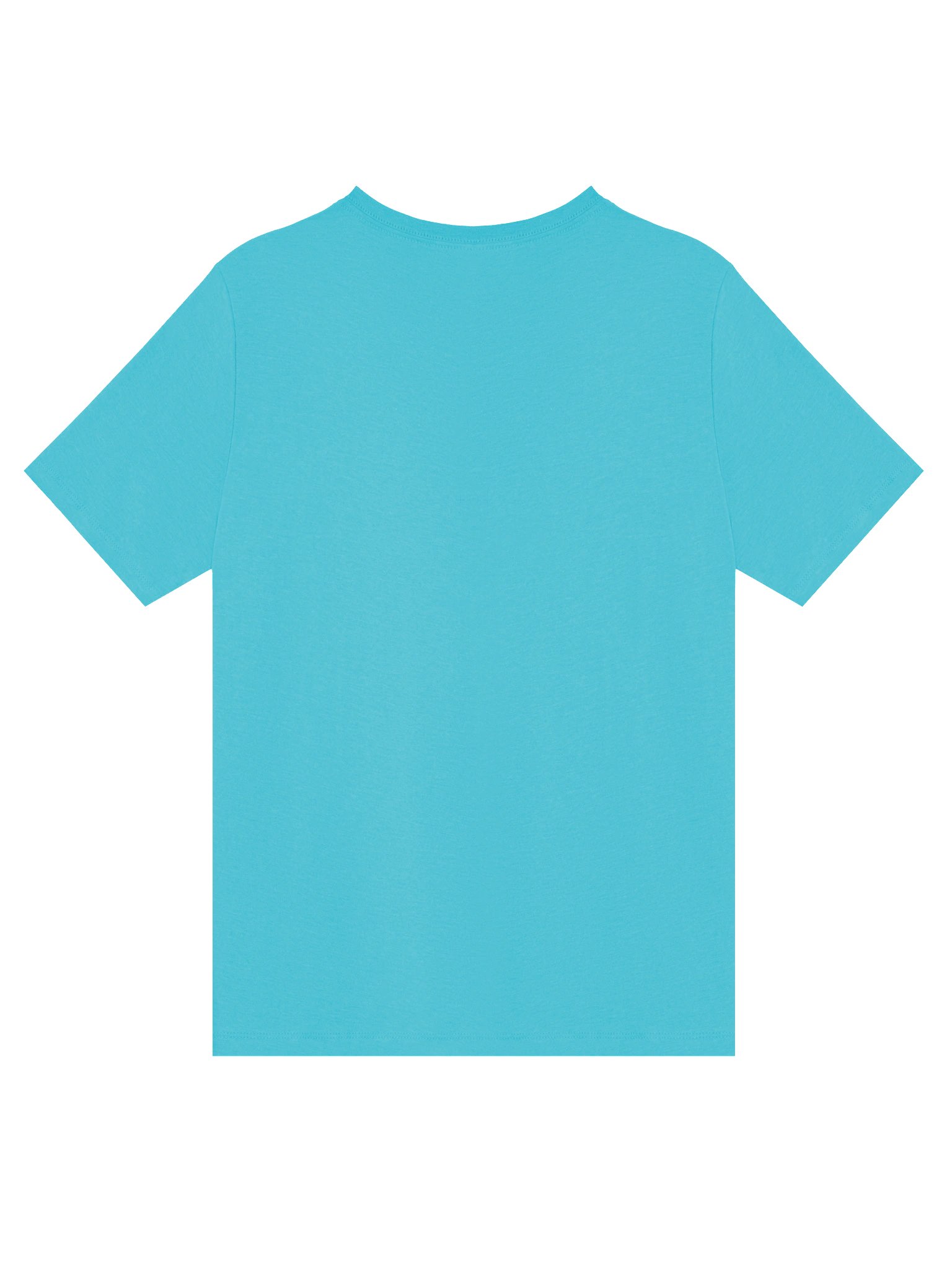 (V-Neck) You Know What That Means! product image (2)