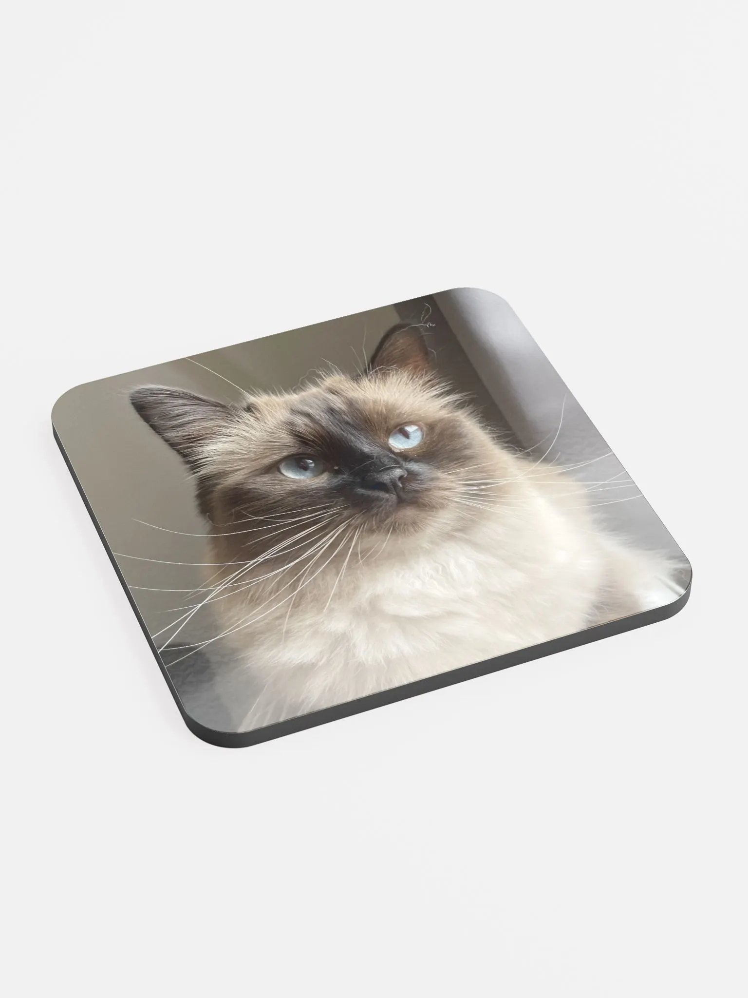 Lilith Coaster product image (2)