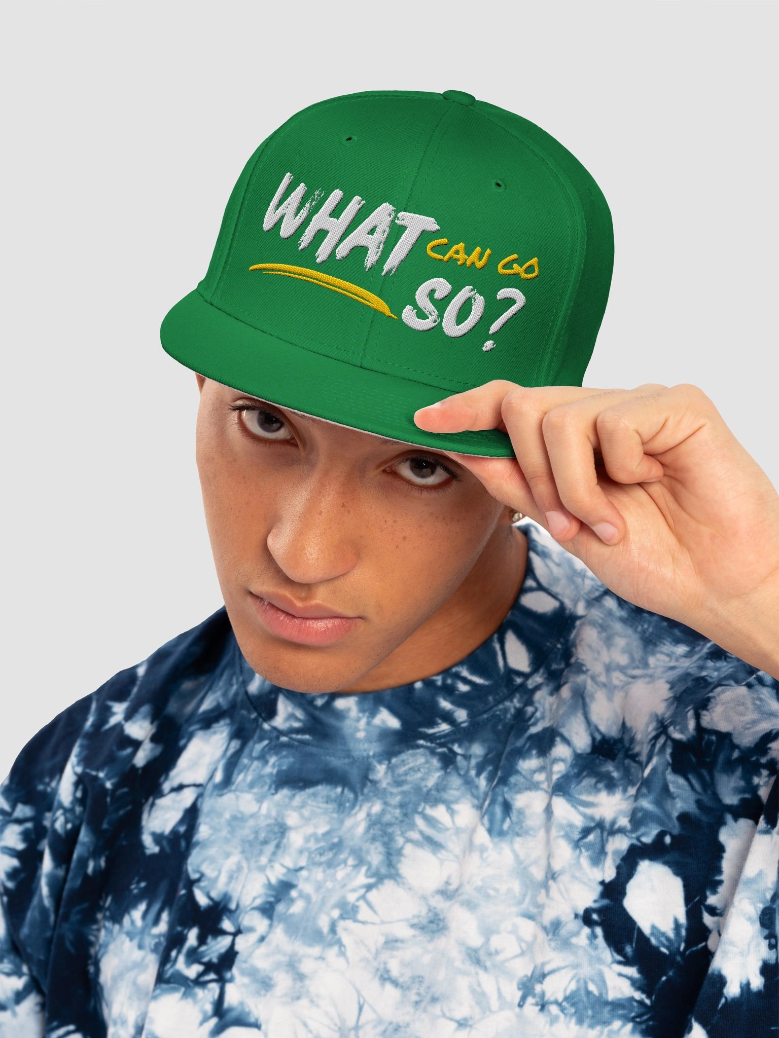 What Can Go So Embroidered Otto Cap product image (18)