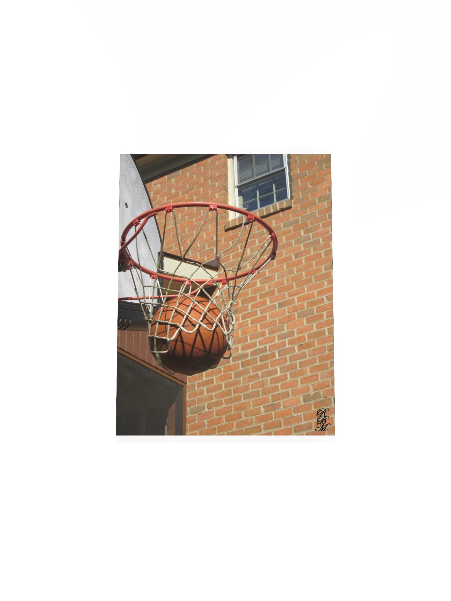 Nothing But Net product image (23)