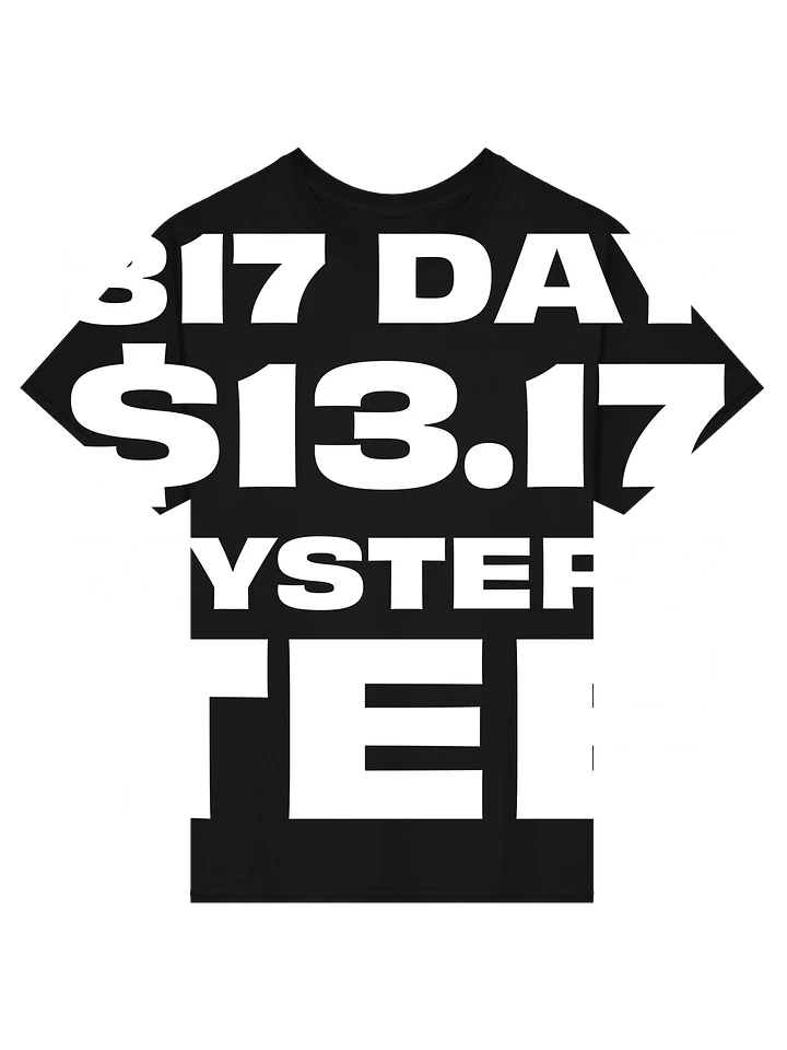 317 Day Mystery Tee product image (1)