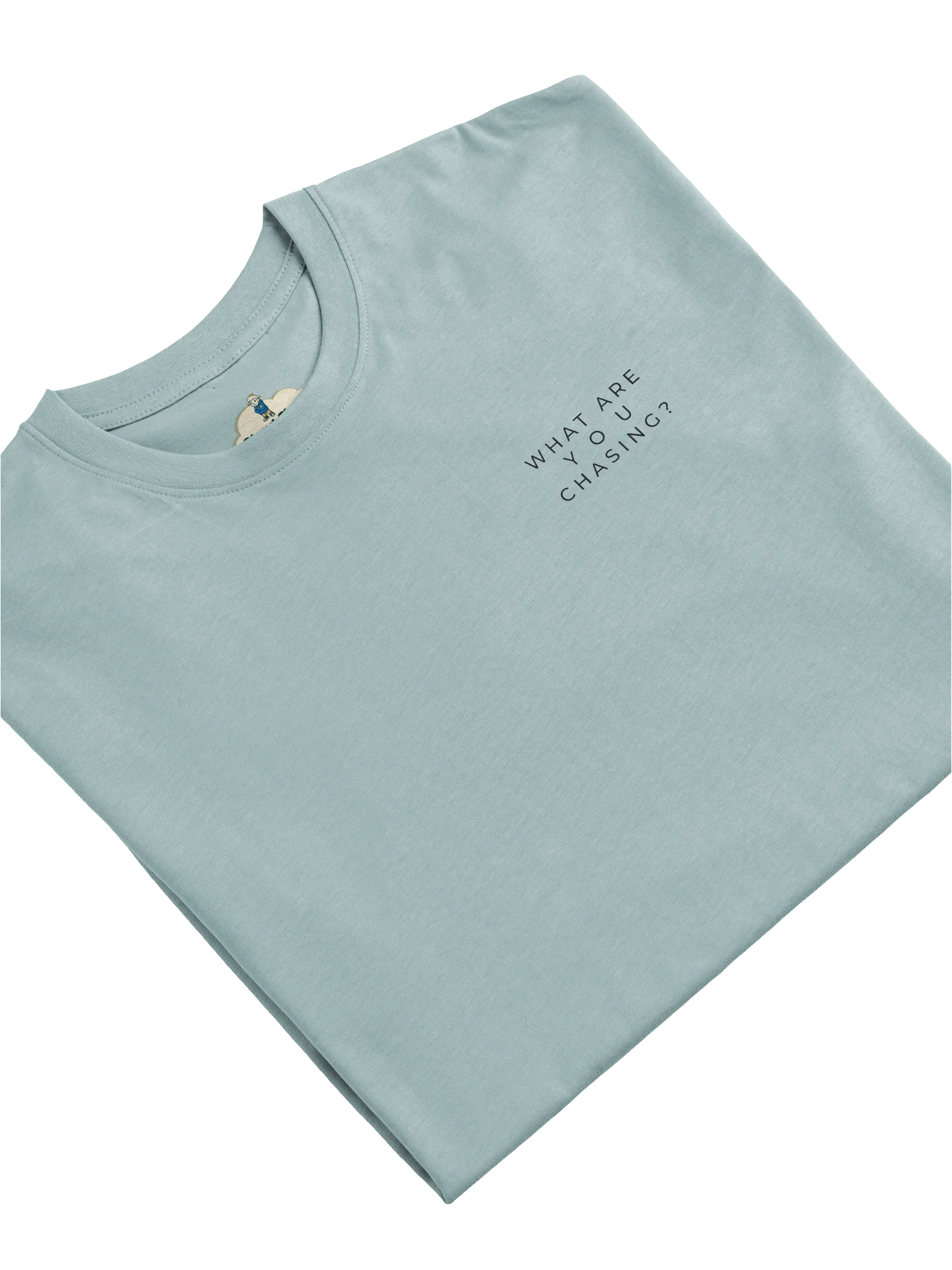 Men's What Are You Chasing? Heavyweight Statement Tee product image (11)