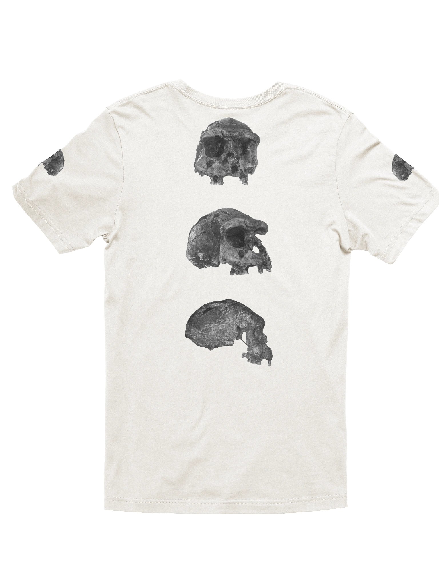 Erectus Fossil Skull T-Shirt Light product image (11)