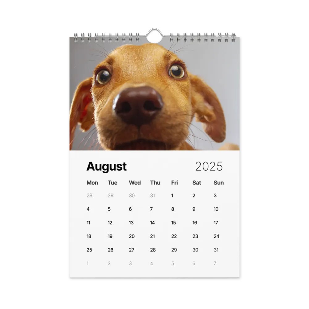 The first year - 2025 Calendar product image (9)