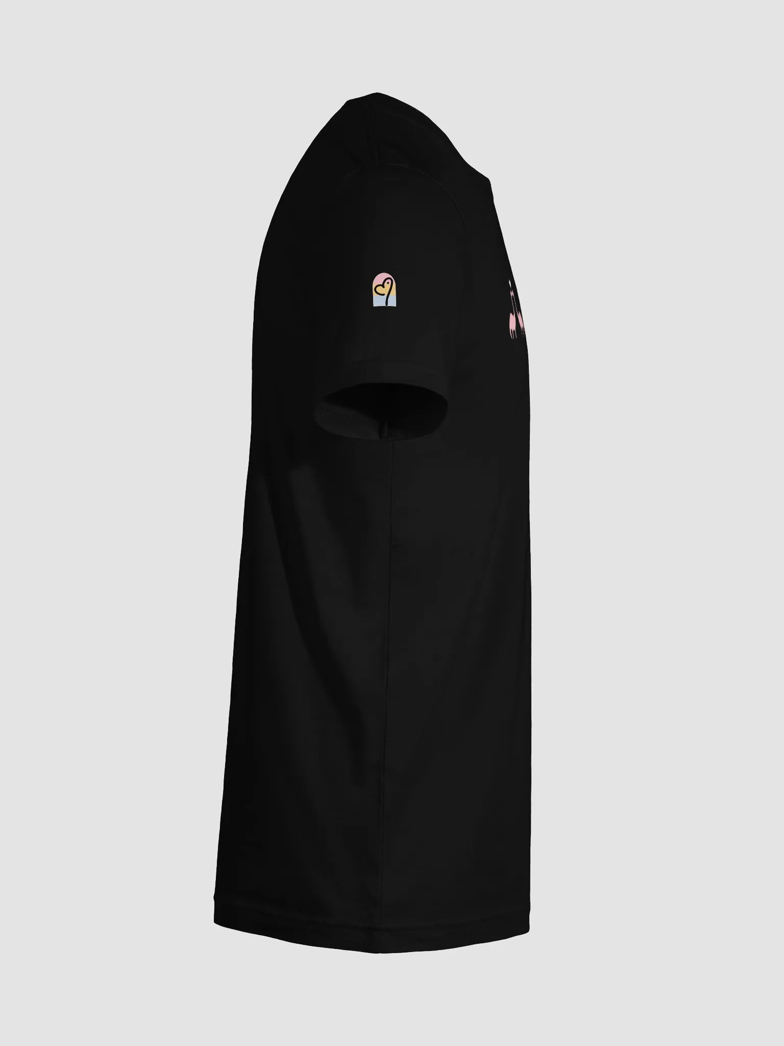Pan Flag Smooch Tee product image (12)