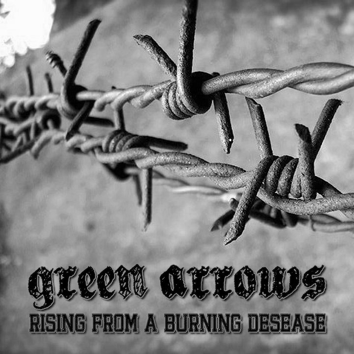 Rising from a Burning Desease product image (1)