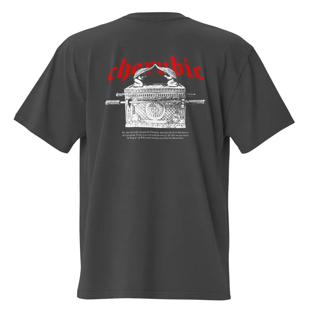 Cherubim Oversized Tee product image (7)