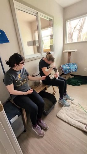 Post Purrlates cuddles with @lizlynnrealtor and @carlypttrsn at Animal Aid PDX! 🩷🩷🩷

#adoptdontshop #purrlates #pilates #cats...