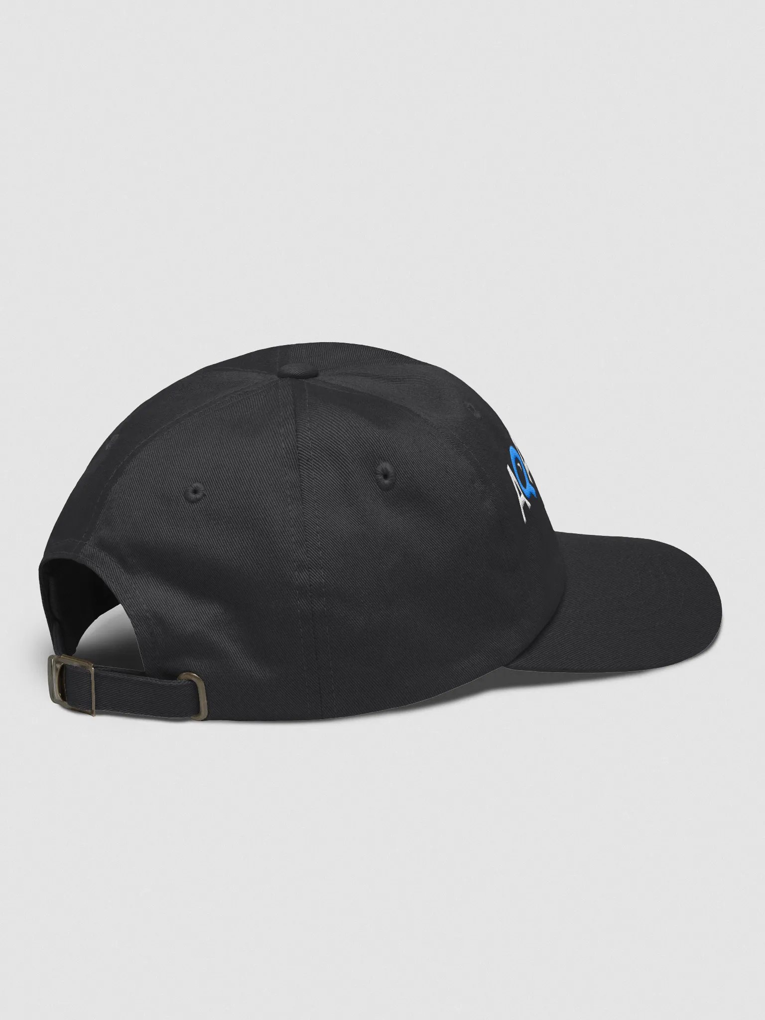Anne Munition Quality Assurance - Dad Hat product image (4)