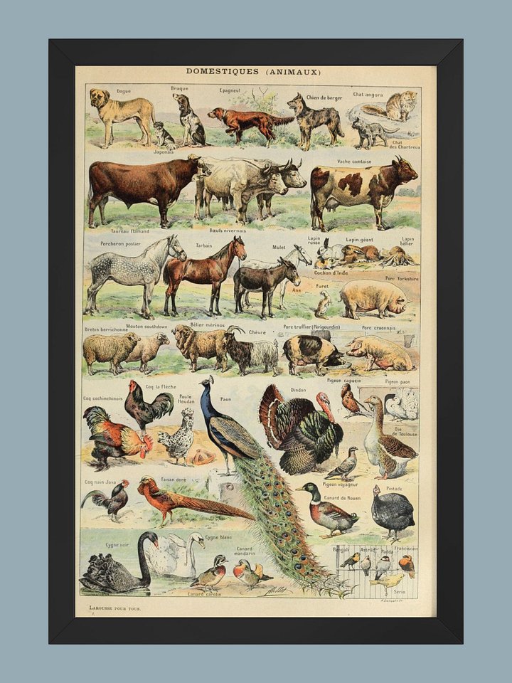 Le Larousse pour tous product image (2)