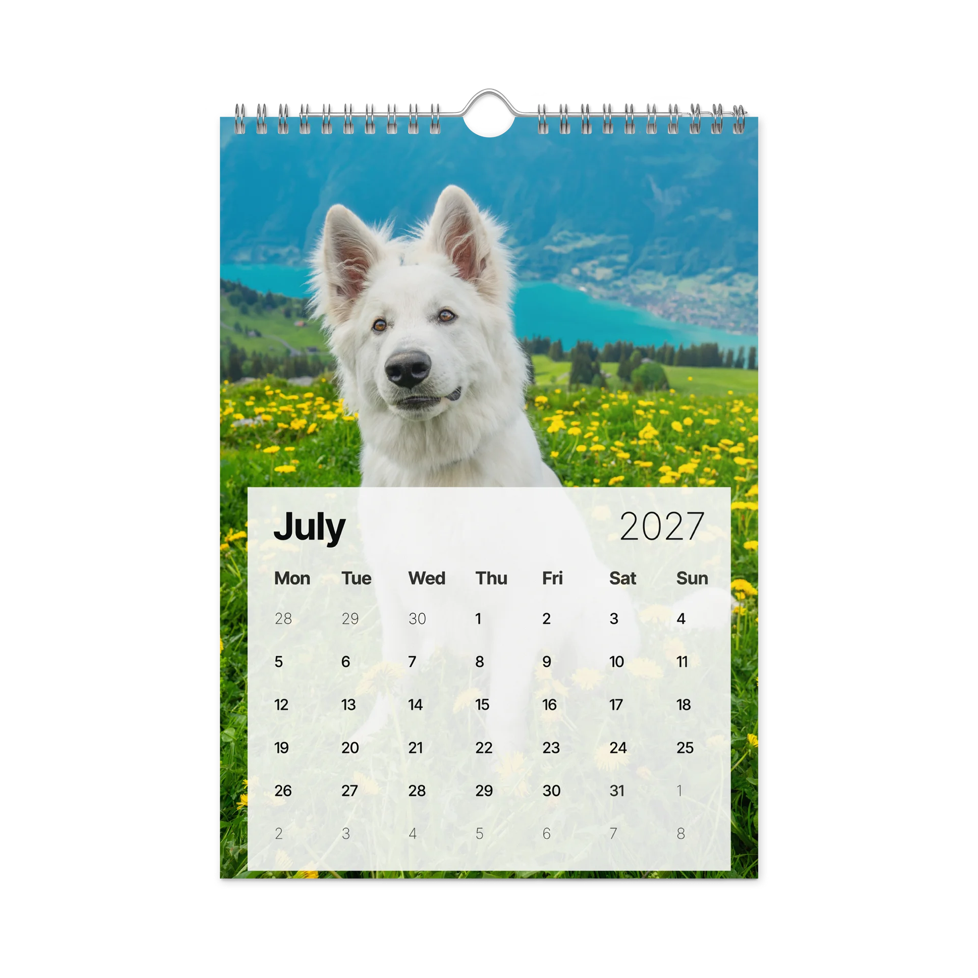 Lil Rasta Calendar 2027 product image (7)