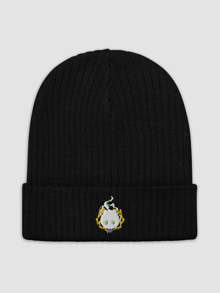 Logo Knitted Beanie! product image (2)