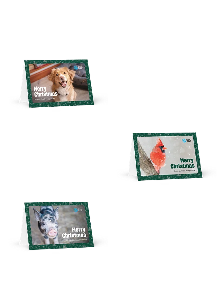 Christmas card bundle product image (1)