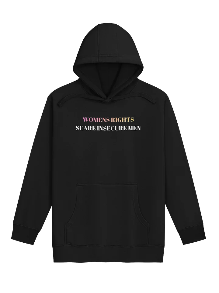 WOMENS RIGHTS SCARE INSECURE MEN HOODIE product image (1)