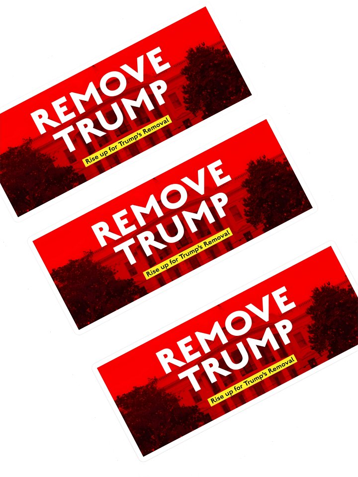 REMOVE TRUMP Sticker Sheet product image (1)