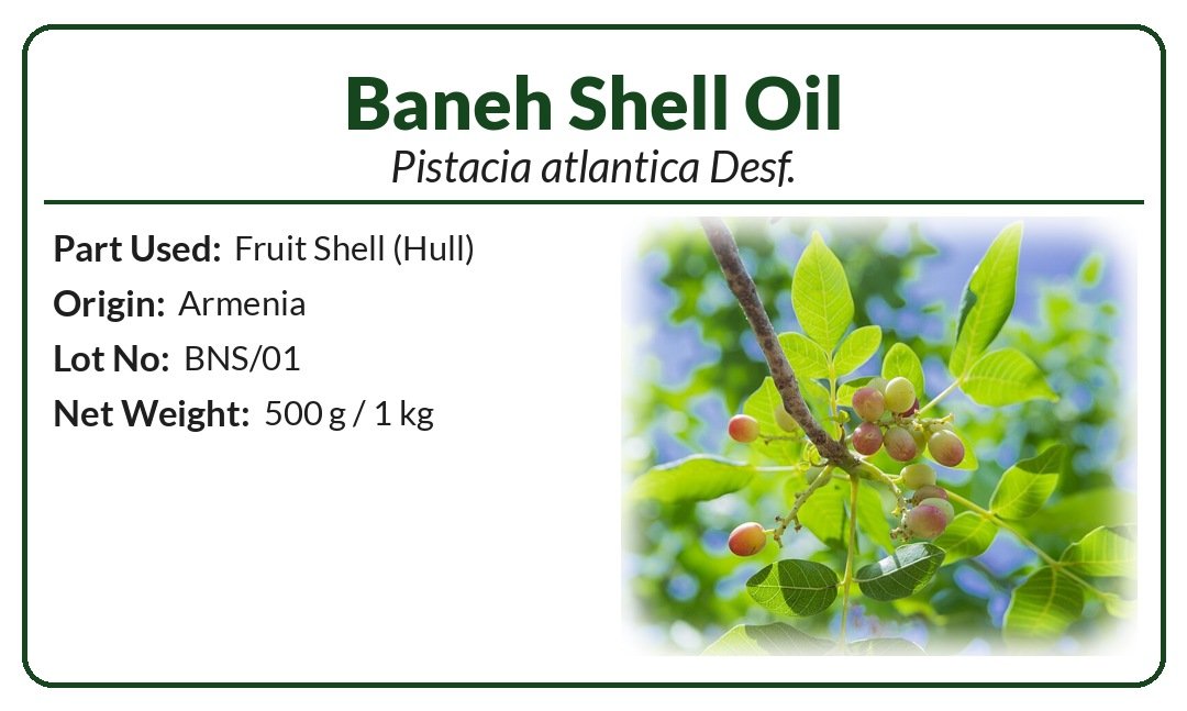 Baneh Shell Oil (Pistacia atlantica) product image (2)